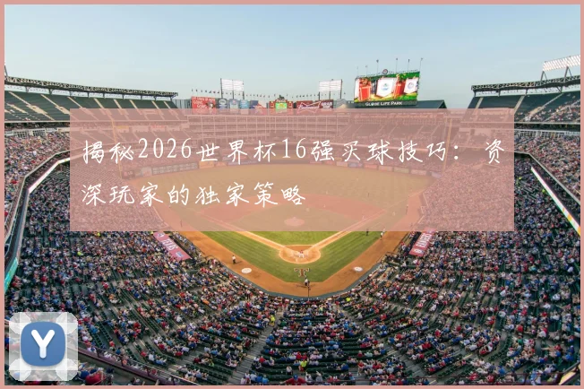 揭秘2026世界杯16强买球技巧：资深玩家的独家策略